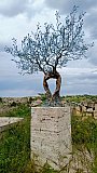 Matera & Alberobello Italy Holiday May25